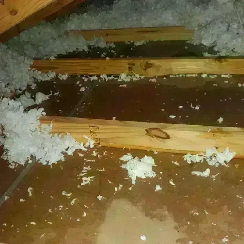 Attic Water Damage in Marion County, MS