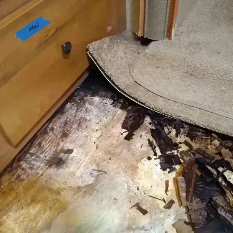 Wood Floor Water Damage in Marion County, MS